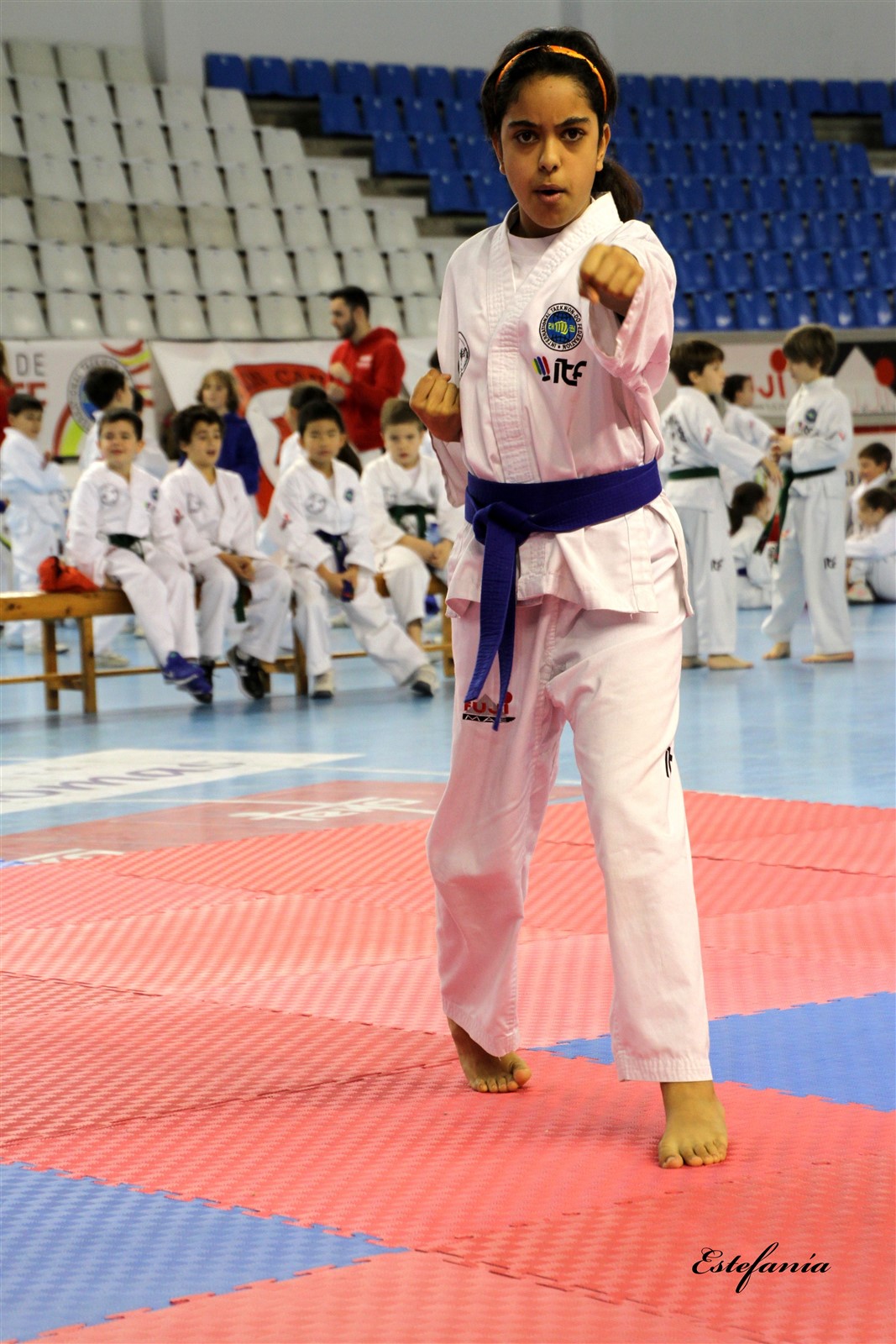 Taekwondo (155).jpg